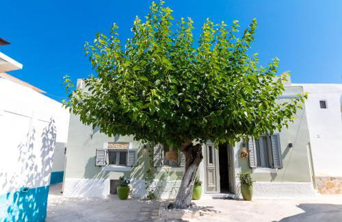 Mounouria House Koskinou - Foto 64