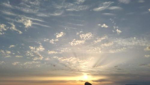 Thelea Mani - Foto 4