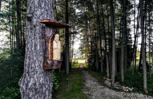 CHILL Village - Foto 60