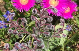 Holiday Home Stazzo mit Garten in Luogosanto by Interhome - Foto 36