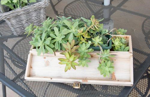 Casa Benoi - Photo 2