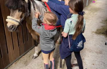 Heidegut Eschede Reitsportanlage und Feriendorf - Foto 10