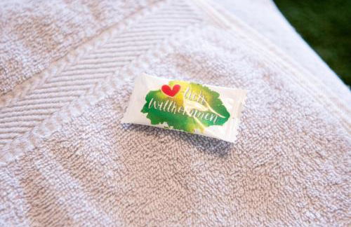 Fewo Eifel Eichen - Foto 8