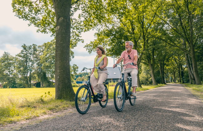 2 bedroom House in IJhorst with swimming pool and terrace - Photo 13