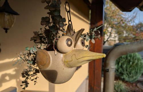 Schöne 2-Raumwohnung inklusive Infrarot-Wärmekabine - Foto 11