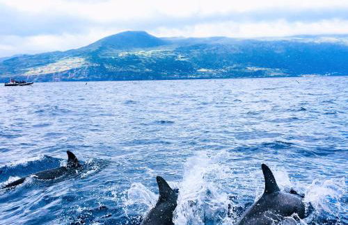 Casa do Almance - Photo 38