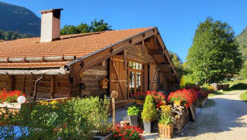 Nickis Bergcamp - Foto 3