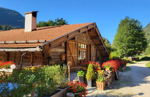 Nickis Bergcamp - Foto 3