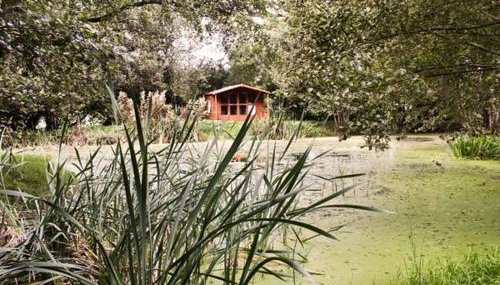 High Park Barn - Photo 2