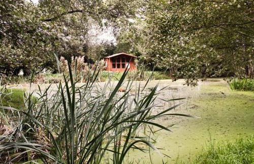 High Park Barn - Photo 2