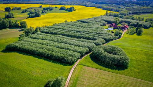 Agroturystyka Dzikie Stawy-Mazury - Foto 3