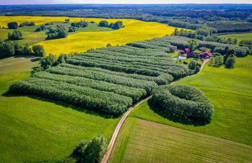 Agroturystyka Dzikie Stawy-Mazury - Foto 3
