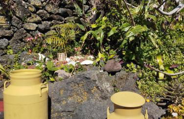 Lobo do Mar - Photo 34