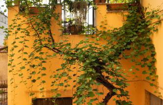Appartamento con terrazza La Voliera di Bacco - Foto 1