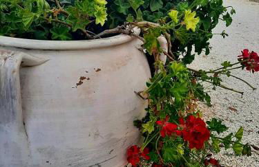 Villa Carrieri - Foto 66