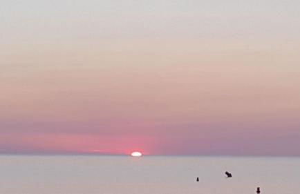 Charmante maison vendéenne proche de la plage - Photo 48