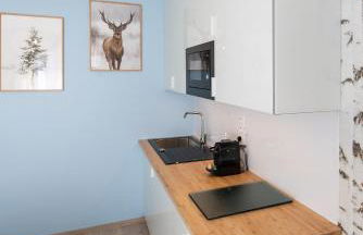 Apparts Seasons - Saint Étienne - La Terrasse - Foto 49