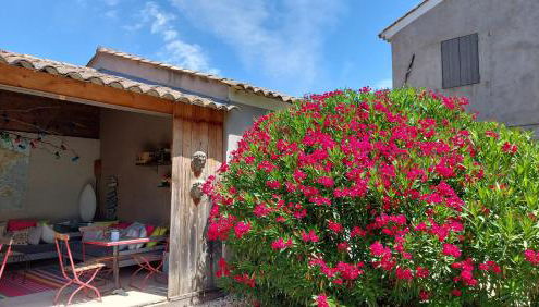 Le Mas Des Bardes - Photo 4