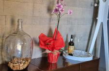 Villa Palace Fernandes with Jacuzzi - Foto 37