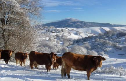 Agriturismo La Guinza - Pool & Relax - Foto 38