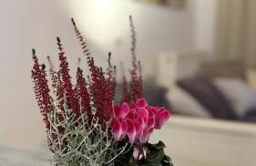 Moderne Ferienwohnung beim Augustinerkloster direkt in der Altstadt - Foto 9