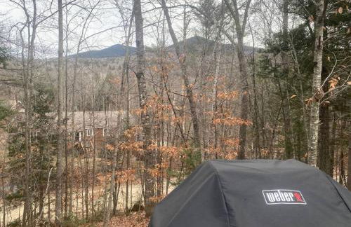 Private Cabin on 1.7 acres w/ Fireplace White Mtns - Photo 8