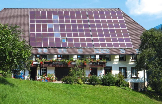 Holiday Home in Hornberg Near Triberg Falls - Foto 16