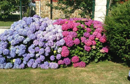 Apartamentos La Cruz de Paderne - Photo 30