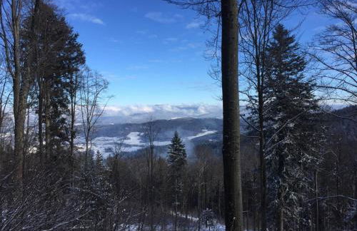 Waldheimat - Photo 37