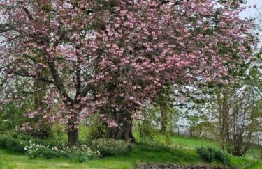 The Garden Flat - Ardullie Lodge - Photo 19