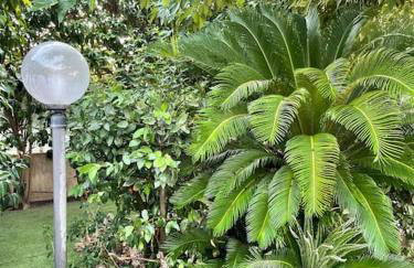 Villa dei Gelsi - Foto 10