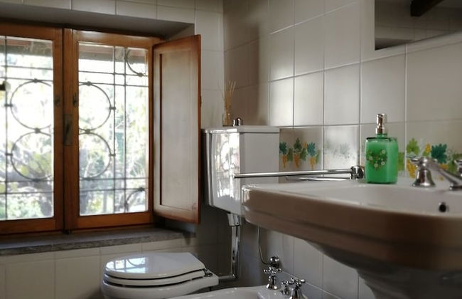 Baduerughe - Foto 12