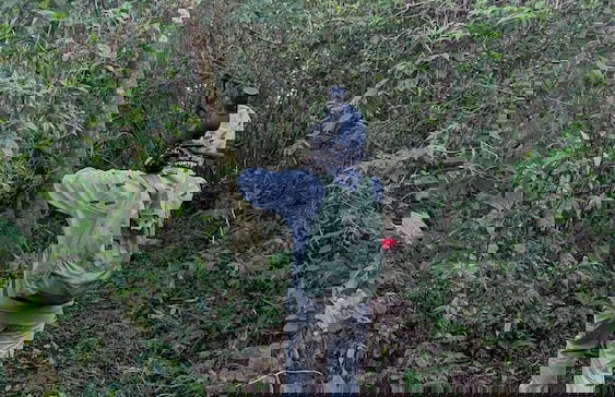 Campos de Oro Wilderness Lodge - Photo 37