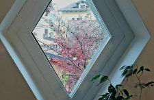 Il Giardino Segreto - Foto 15