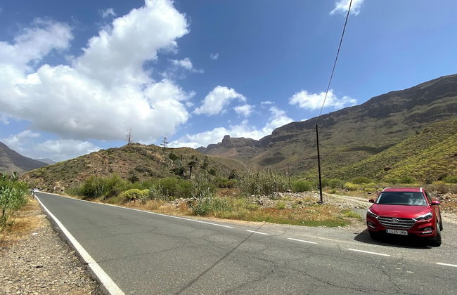 Renovated Tiny House in the Country Near Fataga - Photo 32