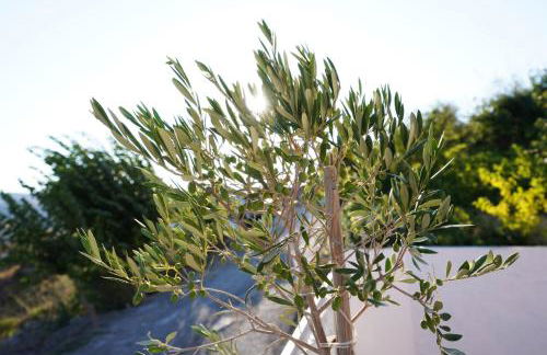 Villa Tzekos - Foto 63