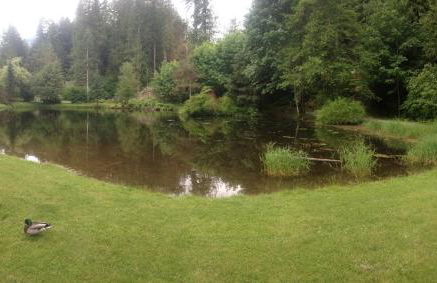 Mt Baker Snowline Chalet - Foto 23