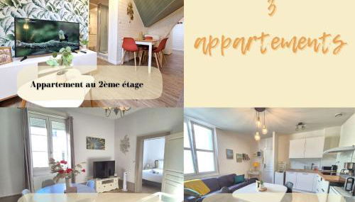 T2 Ctre ville Fibre proche Beauval - Photo 2