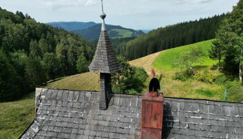 Schwarzwald Chalet - Karlshütte - Foto 5