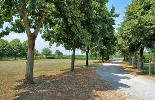 Alloggio agrituristico Zambon - Foto 16