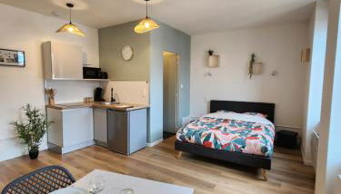 Pontarlier Centre Historique 2nd - Ma Petite Résa - Foto 2