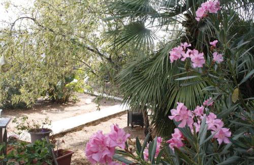 Villa a due passi dal mare "Cicogne Apartment" con BBQ e parcheggio gratuito a due passi dall'Aeroporto - Foto 56