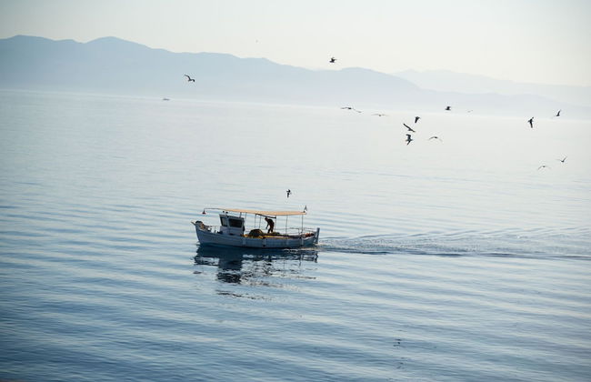 Villa Thea Antonis in Gaios - Foto 65