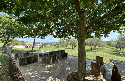 Gîte - Mas de Louise - Foto 36