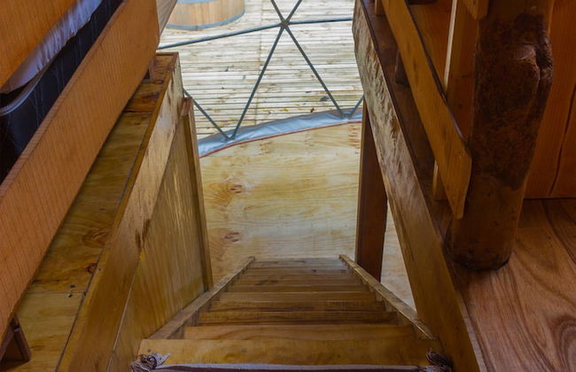 Cabañas Ensenada Bosque Nativo - Foto 3