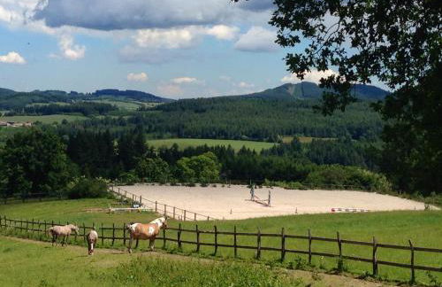 Les Perruchons ancienne grange rénovée avec soin - Foto 38