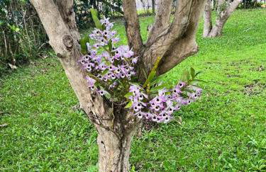 Casa na lagoa do Palmital com acesso à lagoa na propriedade e localizada apenas a 13 km da praia de Atlântida Sul e do Centro de Osório Lugar com Natureza-Wi-Fi 1 cama de casal e um beliche 2 solteiros - Foto 19