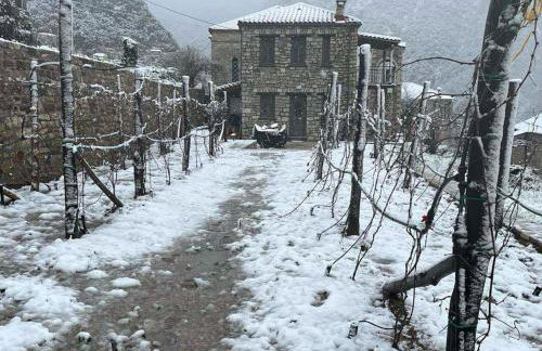 Χελιδόνα - Helidona - Foto 34