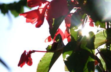 Agriturismo L'Acero Rosso - Foto 72