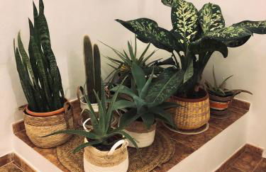 Casita Volcan Lanzarote - Foto 23